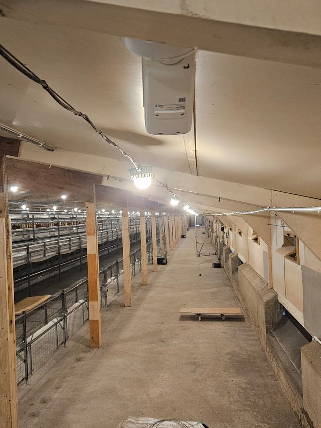 Dome camera on the ceiling of a poultry house, looking down the central walkway