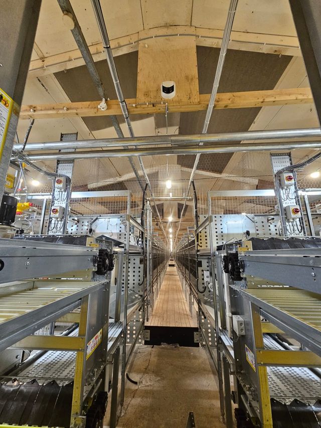 CCTV camera mounted above rows of poultry house equipment