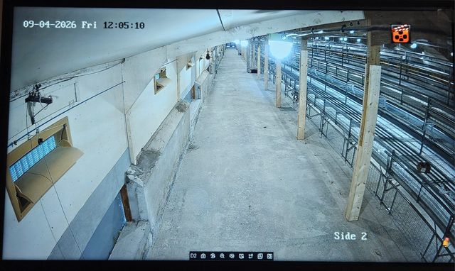 CCTV recorder screen showing a camera view along the inside of a poultry house